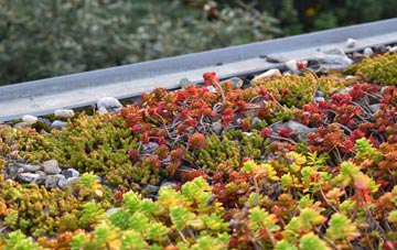 the cost of Wood Hall green roof installation