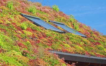 Wood Hall living roof systems
